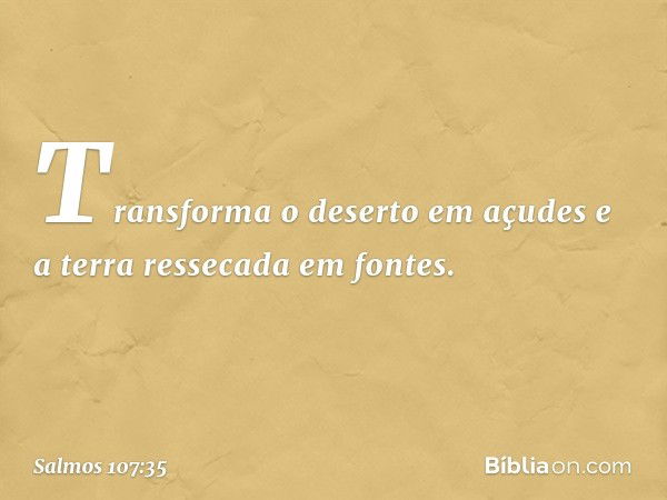 Transforma o deserto em açudes
e a terra ressecada em fontes. -- Salmo 107:35