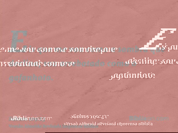 Eis que me vou como a sombra que declina; sou arrebatado como o gafanhoto.