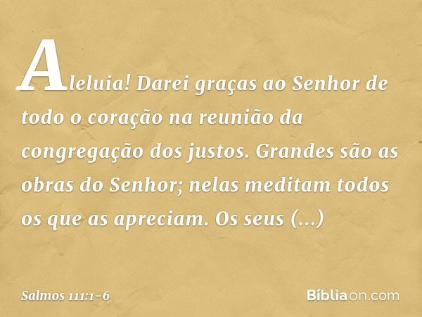 Aleluia!
Darei graças ao Senhor de todo o coração
na reunião da congregação dos justos. Grandes são as obras do Senhor;
nelas meditam todos os que as apreciam. 