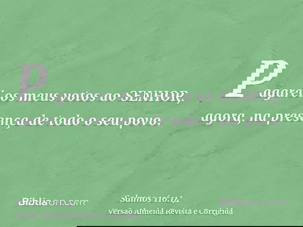 Pagarei os meus votos ao SENHOR, agora, na presença de todo o seu povo.