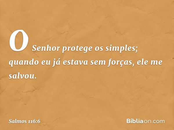 O Senhor protege os simples;
quando eu já estava sem forças, ele me salvou. -- Salmo 116:6