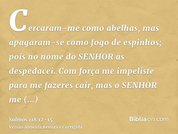 Cercaram-me como abelhas, mas apagaram-se como fogo de espinhos; pois no nome do SENHOR as despedacei.Com força me impeliste para me fazeres cair, mas o SENHOR 