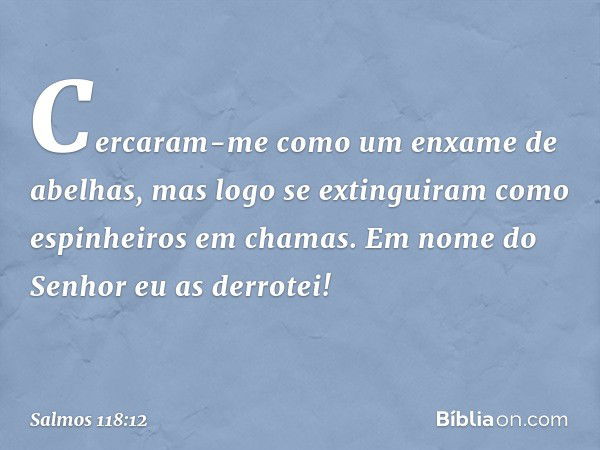 Cercaram-me como um enxame de abelhas,
mas logo se extinguiram
como espinheiros em chamas.
Em nome do Senhor eu as derrotei! -- Salmo 118:12