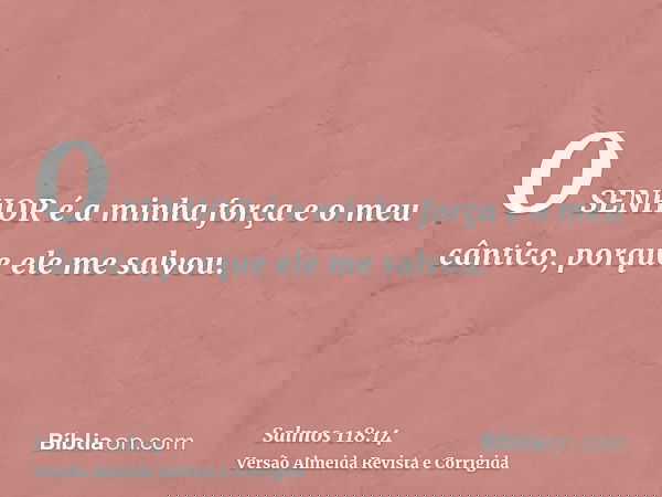 O SENHOR é a minha força e o meu cântico, porque ele me salvou.