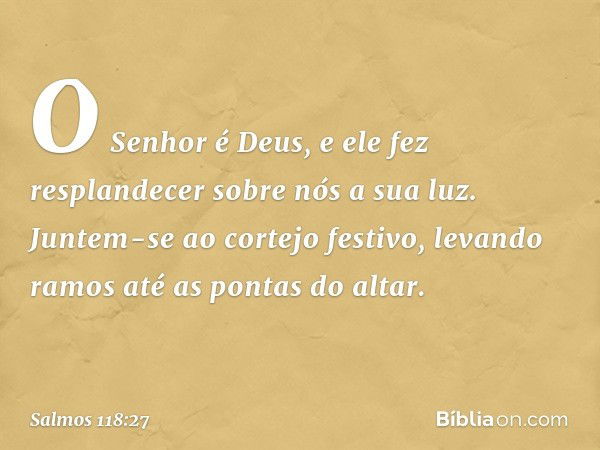 O Senhor é Deus,
e ele fez resplandecer sobre nós a sua luz.
Juntem-se ao cortejo festivo,
levando ramos até as pontas do altar. -- Salmo 118:27