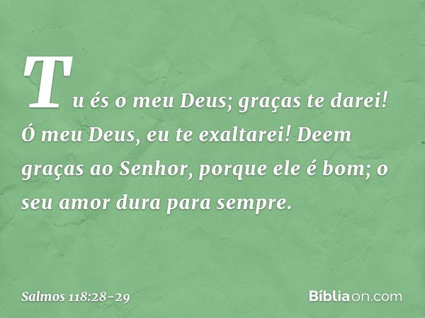 Tu és o meu Deus; graças te darei!
Ó meu Deus, eu te exaltarei! Deem graças ao Senhor, porque ele é bom;
o seu amor dura para sempre. -- Salmo 118:28-29