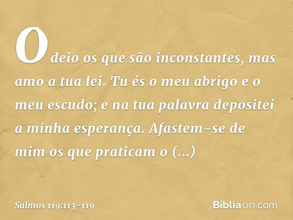 Odeio os que são inconstantes,
mas amo a tua lei. Tu és o meu abrigo e o meu escudo;
e na tua palavra depositei a minha esperança. Afastem-se de mim os que prat