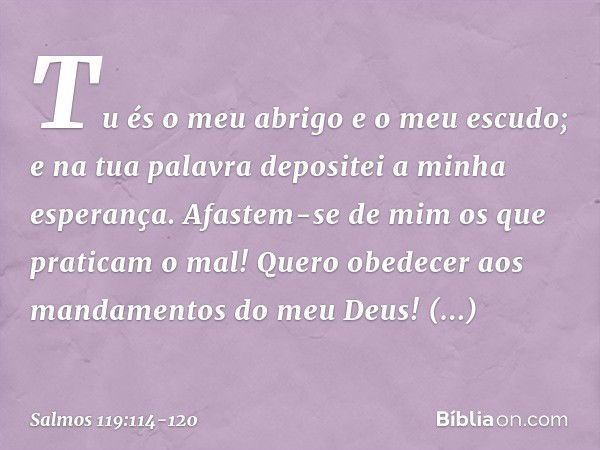 Tu és o meu abrigo e o meu escudo;
e na tua palavra depositei a minha esperança. Afastem-se de mim os que praticam o mal!
Quero obedecer
aos mandamentos do meu 