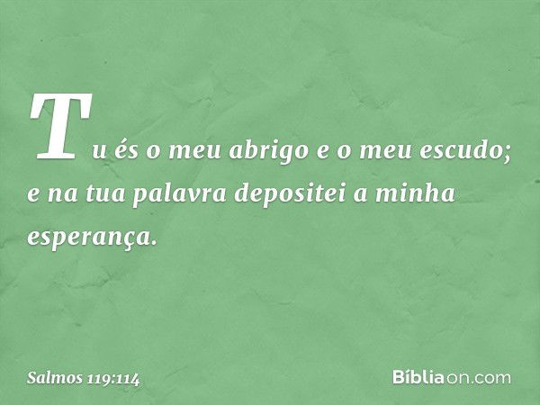 Tu és o meu abrigo e o meu escudo;
e na tua palavra depositei a minha esperança. -- Salmo 119:114