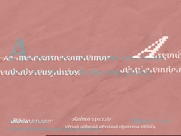 Arrepia-se-me a carne com temor de ti, e tenho medo dos teus juízos.