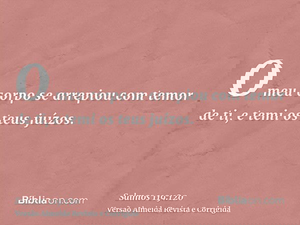 O meu corpo se arrepiou com temor de ti, e temi os teus juízos.