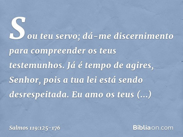 Sou teu servo; dá-me discernimento
para compreender os teus testemunhos. Já é tempo de agires, Senhor,
pois a tua lei está sendo desrespeitada. Eu amo os teus m