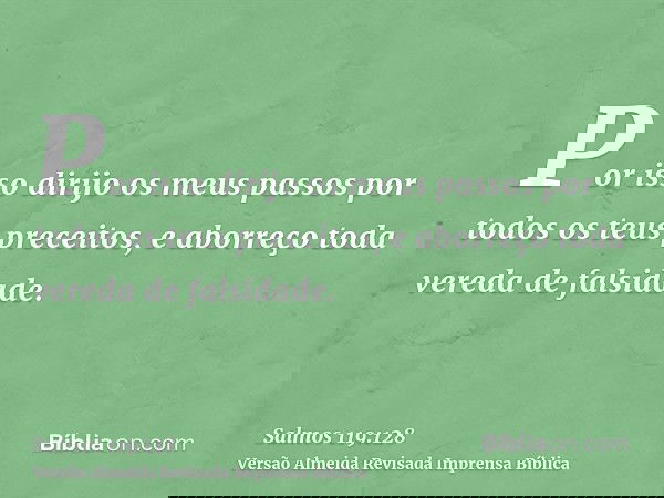 Por isso dirijo os meus passos por todos os teus preceitos, e aborreço toda vereda de falsidade.