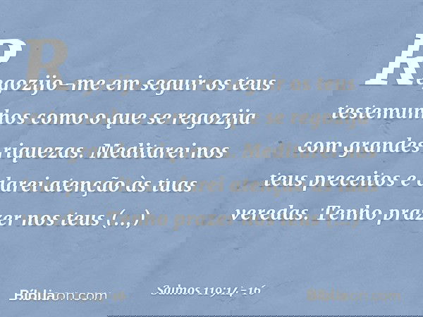 Regozijo-me em seguir os teus testemunhos
como o que se regozija com grandes riquezas. Meditarei nos teus preceitos
e darei atenção às tuas veredas. Tenho praze
