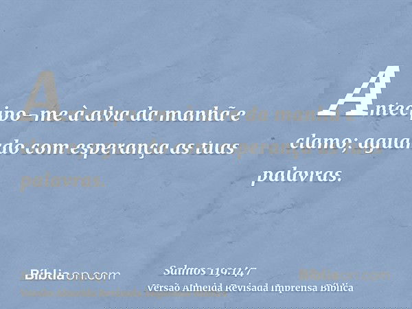 Antecipo-me à alva da manhã e clamo; aguardo com esperança as tuas palavras.