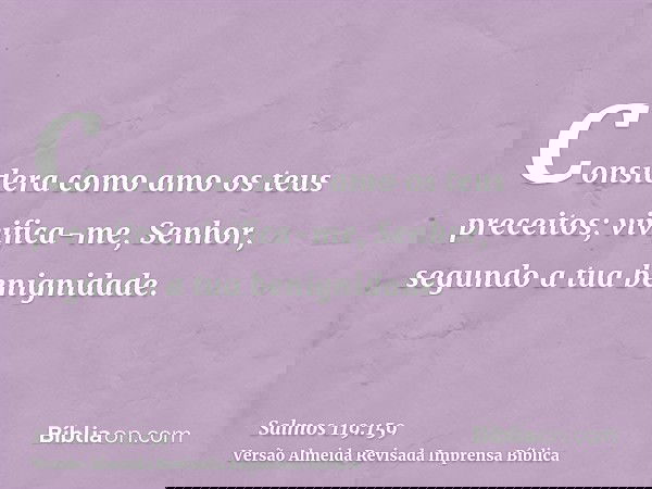 Considera como amo os teus preceitos; vivifica-me, Senhor, segundo a tua benignidade.