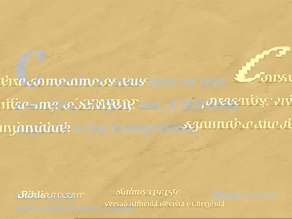 Considera como amo os teus preceitos; vivifica-me, ó SENHOR, segundo a tua benignidade.