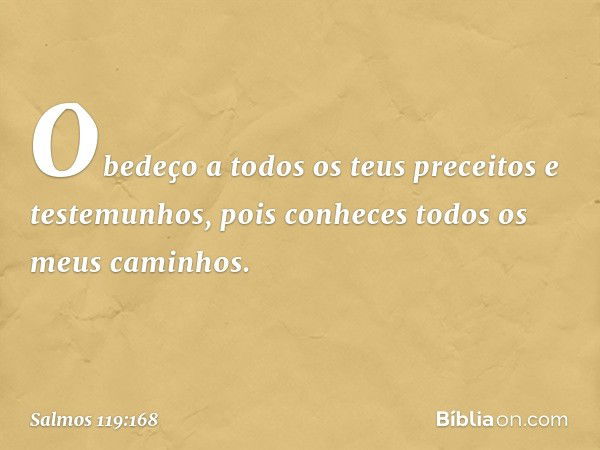 Obedeço a todos os teus preceitos
e testemunhos,
pois conheces todos os meus caminhos. -- Salmo 119:168