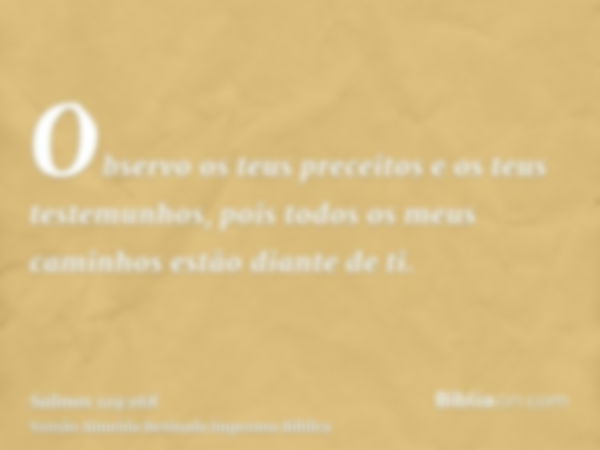 Observo os teus preceitos e os teus testemunhos, pois todos os meus caminhos estão diante de ti.