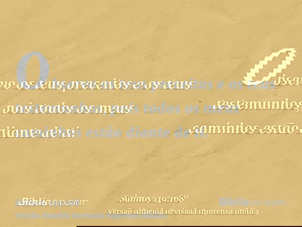 Observo os teus preceitos e os teus testemunhos, pois todos os meus caminhos estão diante de ti.