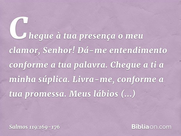 Chegue à tua presença o meu clamor, Senhor!
Dá-me entendimento conforme a tua palavra. Chegue a ti a minha súplica.
Livra-me, conforme a tua promessa. Meus lábi