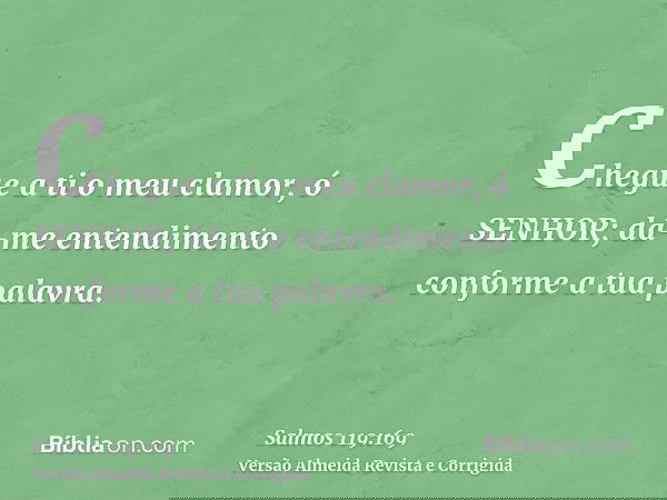 Chegue a ti o meu clamor, ó SENHOR; dá-me entendimento conforme a tua palavra.