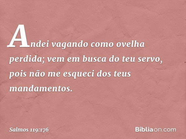 Andei vagando como ovelha perdida;
vem em busca do teu servo,
pois não me esqueci
dos teus mandamentos. -- Salmo 119:176