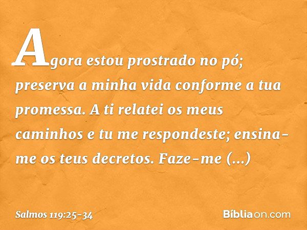 Agora estou prostrado no pó;
preserva a minha vida
conforme a tua promessa. A ti relatei os meus caminhos
e tu me respondeste;
ensina-me os teus decretos. Faze-