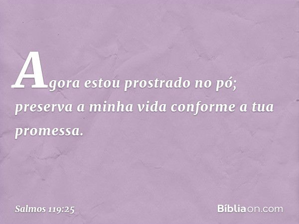 Agora estou prostrado no pó;
preserva a minha vida
conforme a tua promessa. -- Salmo 119:25