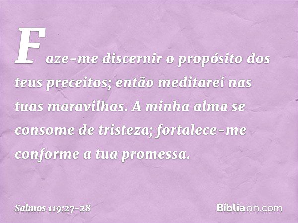 Faze-me discernir o propósito
dos teus preceitos;
então meditarei nas tuas maravilhas. A minha alma se consome de tristeza;
fortalece-me conforme a tua promessa