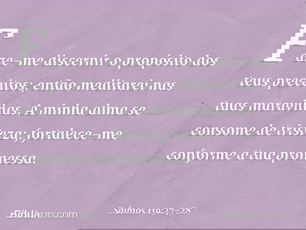 Faze-me discernir o propósito
dos teus preceitos;
então meditarei nas tuas maravilhas. A minha alma se consome de tristeza;
fortalece-me conforme a tua promessa