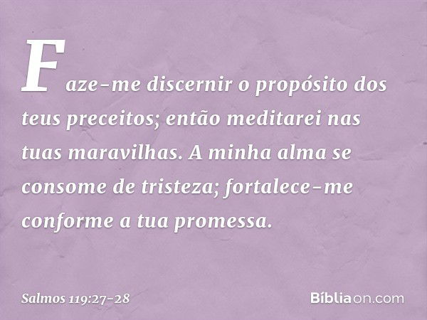 Faze-me discernir o propósito
dos teus preceitos;
então meditarei nas tuas maravilhas. A minha alma se consome de tristeza;
fortalece-me conforme a tua promessa