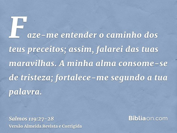 Faze-me entender o caminho dos teus preceitos; assim, falarei das tuas maravilhas.A minha alma consome-se de tristeza; fortalece-me segundo a tua palavra.