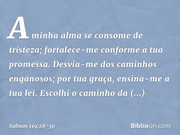 A minha alma se consome de tristeza;
fortalece-me conforme a tua promessa. Desvia-me dos caminhos enganosos;
por tua graça, ensina-me a tua lei. Escolhi o camin