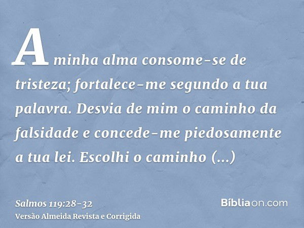 A minha alma consome-se de tristeza; fortalece-me segundo a tua palavra.Desvia de mim o caminho da falsidade e concede-me piedosamente a tua lei.Escolhi o camin