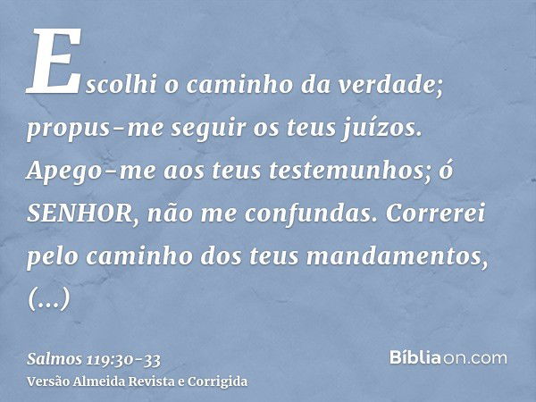 Escolhi o caminho da verdade; propus-me seguir os teus juízos.Apego-me aos teus testemunhos; ó SENHOR, não me confundas.Correrei pelo caminho dos teus mandament