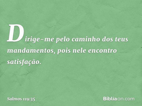 Dirige-me pelo caminho
dos teus mandamentos,
pois nele encontro satisfação. -- Salmo 119:35