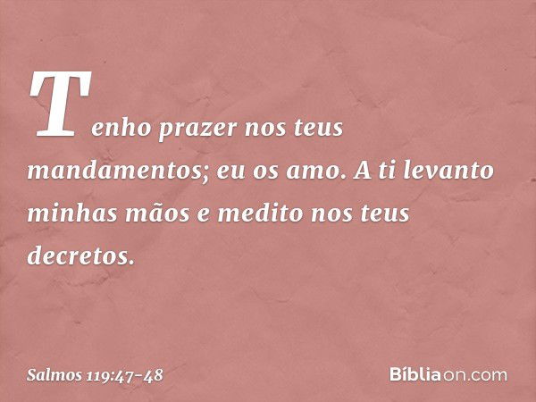 Tenho prazer nos teus mandamentos;
eu os amo. A ti levanto minhas mãos
e medito nos teus decretos. -- Salmo 119:47-48