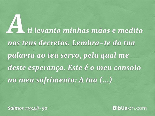 A ti levanto minhas mãos
e medito nos teus decretos. Lembra-te da tua palavra ao teu servo,
pela qual me deste esperança. Este é o meu consolo no meu sofrimento