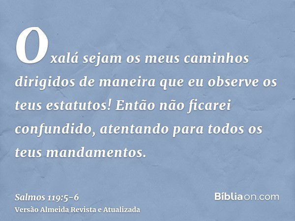 Oxalá sejam os meus caminhos dirigidos de maneira que eu observe os teus estatutos!Então não ficarei confundido, atentando para todos os teus mandamentos.