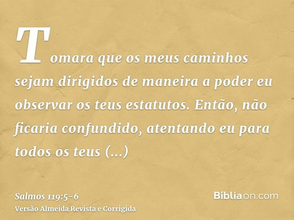 Tomara que os meus caminhos sejam dirigidos de maneira a poder eu observar os teus estatutos.Então, não ficaria confundido, atentando eu para todos os teus mand