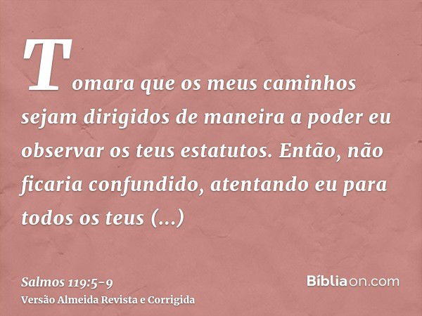 Tomara que os meus caminhos sejam dirigidos de maneira a poder eu observar os teus estatutos.Então, não ficaria confundido, atentando eu para todos os teus mand