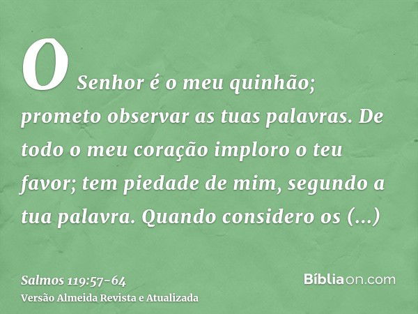 O Senhor é o meu quinhão; prometo observar as tuas palavras.De todo o meu coração imploro o teu favor; tem piedade de mim, segundo a tua palavra.Quando consider