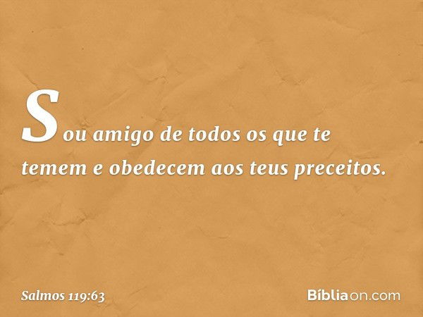 Sou amigo de todos os que te temem
e obedecem aos teus preceitos. -- Salmo 119:63