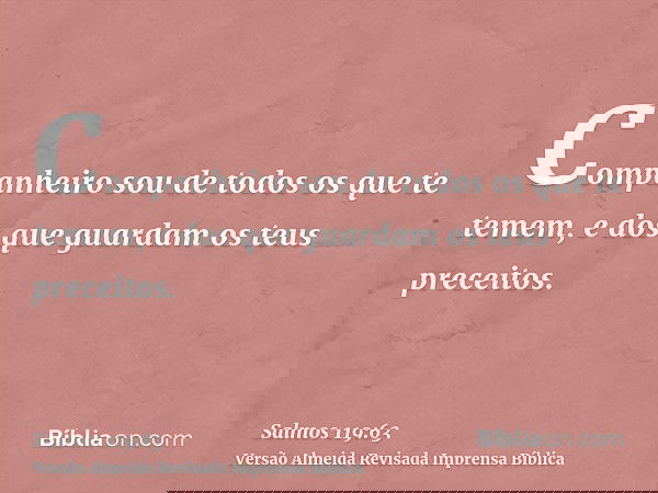 Companheiro sou de todos os que te temem, e dos que guardam os teus preceitos.