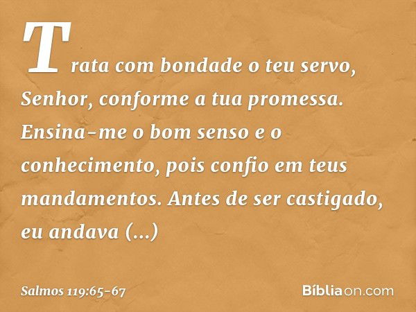 Trata com bondade o teu servo, Senhor,
conforme a tua promessa. Ensina-me o bom senso e o conhecimento,
pois confio em teus mandamentos. Antes de ser castigado,