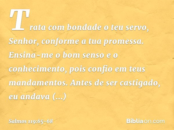 Trata com bondade o teu servo, Senhor,
conforme a tua promessa. Ensina-me o bom senso e o conhecimento,
pois confio em teus mandamentos. Antes de ser castigado,