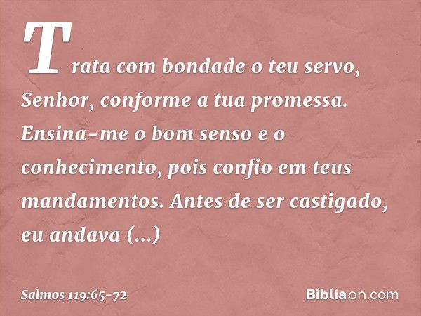 Trata com bondade o teu servo, Senhor,
conforme a tua promessa. Ensina-me o bom senso e o conhecimento,
pois confio em teus mandamentos. Antes de ser castigado,