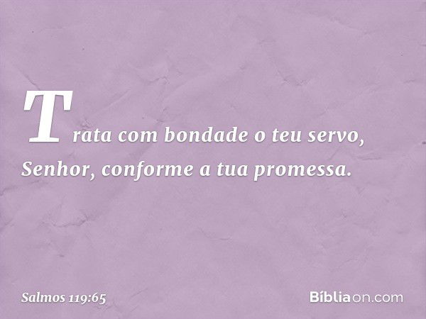 Trata com bondade o teu servo, Senhor,
conforme a tua promessa. -- Salmo 119:65