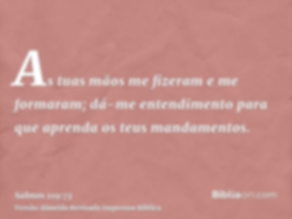 As tuas mãos me fizeram e me formaram; dá-me entendimento para que aprenda os teus mandamentos.